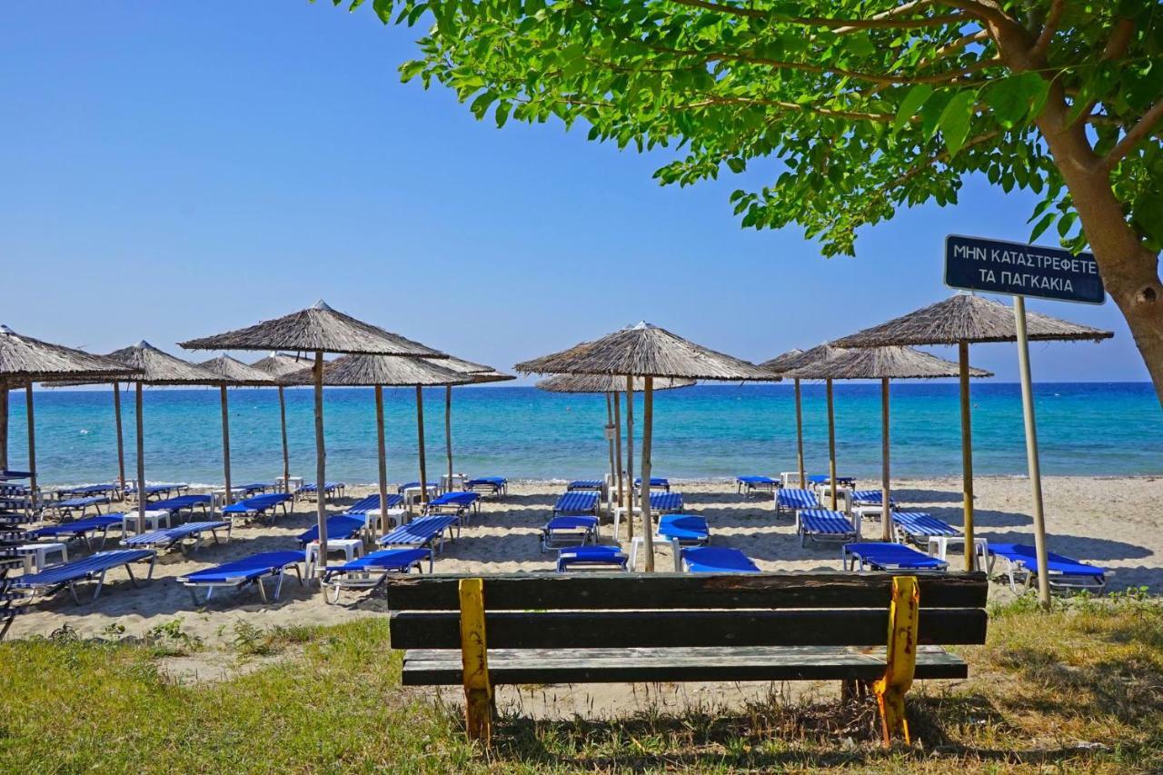 Villa Fofo - Beautiful Sea Front Villa With 650M2 Garden Nea Kallikrateia Εξωτερικό φωτογραφία